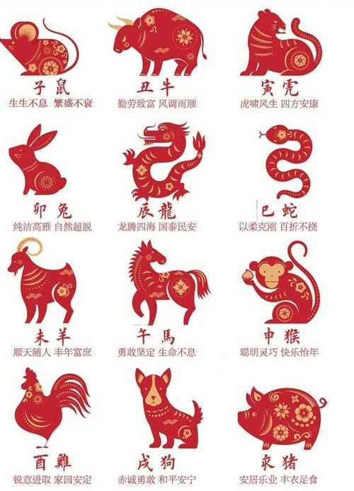新澳特碼，羊?；⒏鲾?shù)10的獨特魅力與探索，新澳特碼，羊?；⒏鲾?shù)10的獨特魅力與奧秘探索