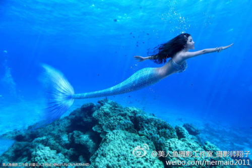 澳門美人魚最快開獎結(jié)果圖——揭秘?zé)衢T彩票游戲背后的秘密，澳門美人魚彩票開獎揭秘，最新結(jié)果圖與游戲背后秘密探索