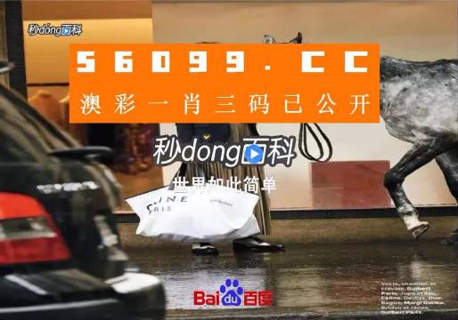 新澳一碼三中三資料，探索與解析，新澳一碼三中三資料解析與探索