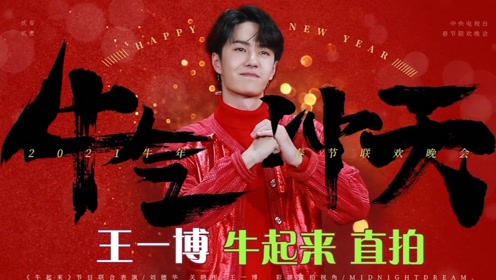 探尋王中王，揭秘發(fā)個王中王一肖中特背后的奧秘，揭秘王中王，探尋發(fā)個王中王一肖中特背后的神秘奧秘