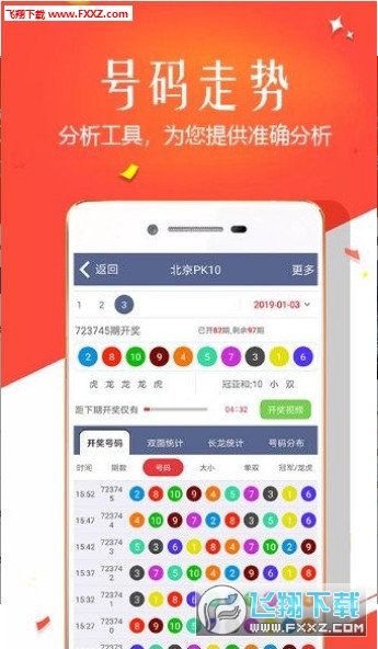 王中王四肖選一，揭秘選擇與優(yōu)化策略，王中王四肖選一，選擇與優(yōu)化策略的揭秘
