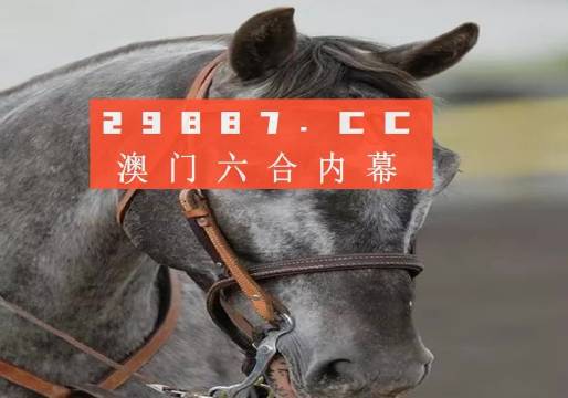 澳門一一碼一特一中準(zhǔn)選今晚，探索真實(shí)有效的選擇與策略，澳門今晚一特一中準(zhǔn)選碼，真實(shí)有效的選擇與策略探索