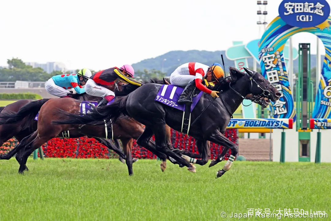 香港王中王與一馬中特肖的獨特魅力，深度解析與探索，香港王中王與一馬中特肖的獨特魅力，深度探索與解析