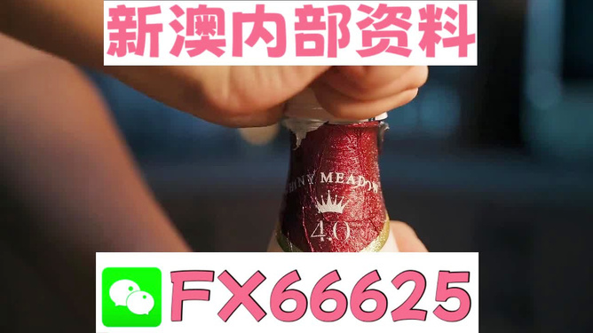 新澳門一碼一碼，揭秘精準預測的秘密與真相，揭秘澳門一碼一碼精準預測的秘密與真相