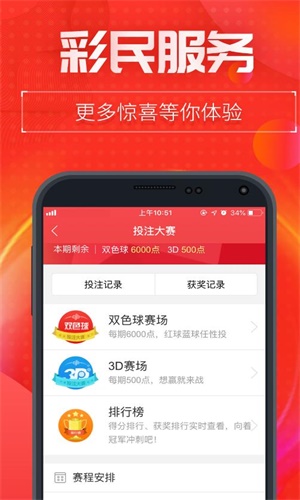 一肖二碼中特王中王——揭秘彩票背后的秘密，揭秘彩票背后的秘密，一肖二碼中特王中王的故事