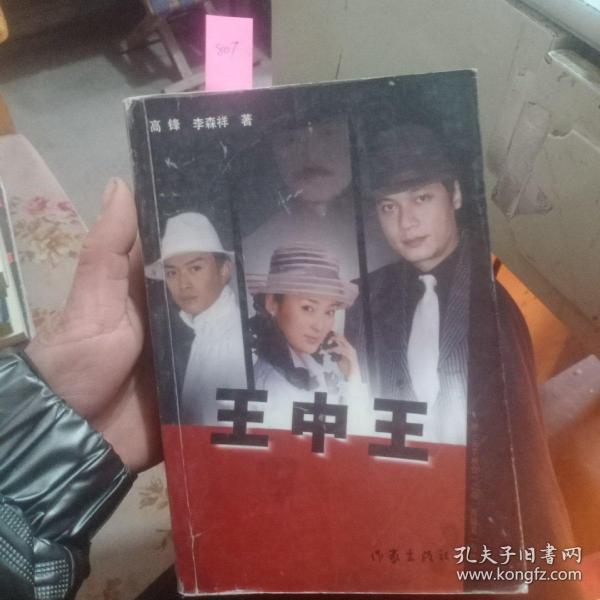 王中王資料一肖中天，深度解析與探索，王中王資料一肖中天，深度剖析與探索