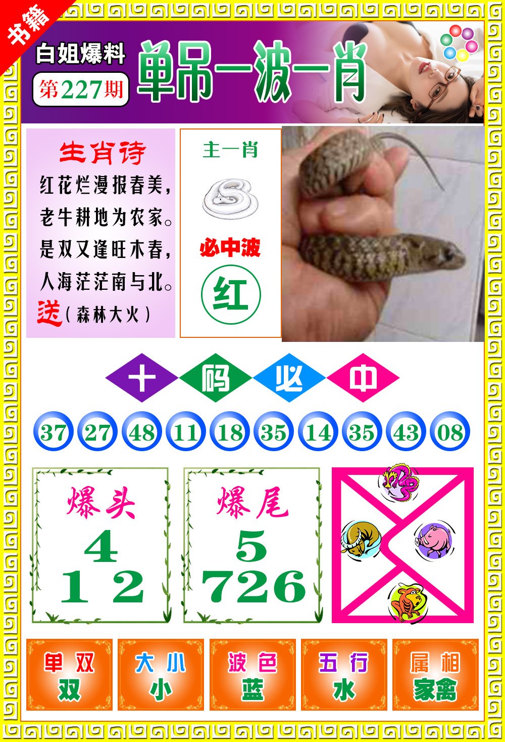 王中王免費(fèi)開獎一肖結(jié)果，揭秘彩票背后的秘密，揭秘王中王彩票開獎內(nèi)幕，一肖結(jié)果背后的秘密揭曉