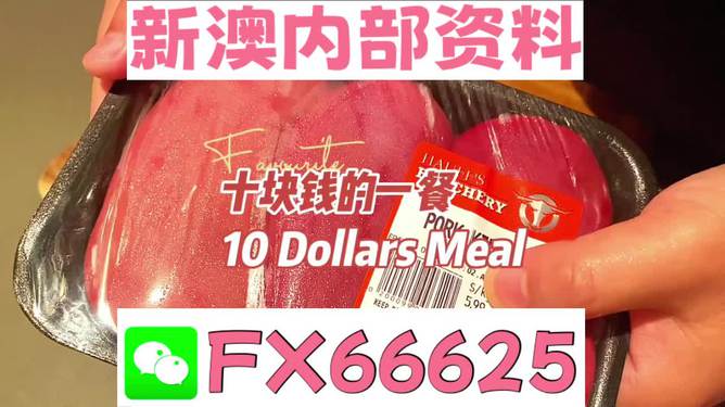 揭秘2025新澳精準(zhǔn)資料免費(fèi)大全——一站式獲取最新資源，揭秘2025新澳精準(zhǔn)資料免費(fèi)大全，最新資源一站式獲取