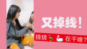王中王欲錢詩(shī)猜一肖，王中王欲錢詩(shī)暗示的生肖之謎