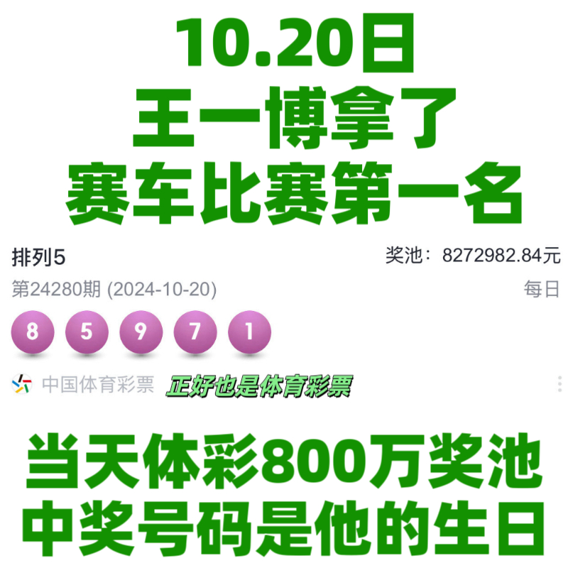 王中王一肖資料中特馬——深度解析與SEO洞察，王中王一肖特馬深度解析與SEO洞察揭秘