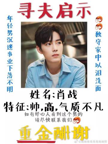 一肖一碼一一肖一子善，探尋命運密碼與智慧之光的完美結(jié)合，命運密碼與智慧之光，一肖一碼一一肖一子善的探尋