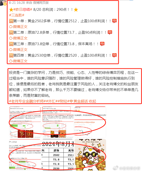 王中王香港一肖，揭秘背后的故事與SEO奧秘，王中王香港一肖背后的故事與SEO奧秘揭秘