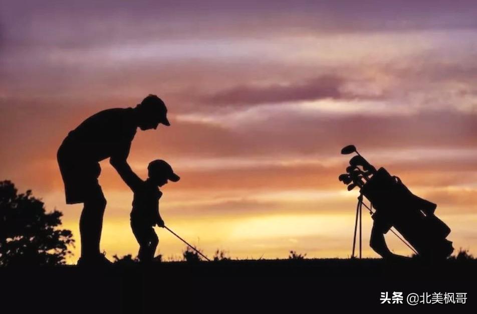 森林高手王中王與神秘生肖——深度解讀背后的故事與秘密，森林高手王中王與神秘生肖，故事背后的深度解讀與秘密探尋