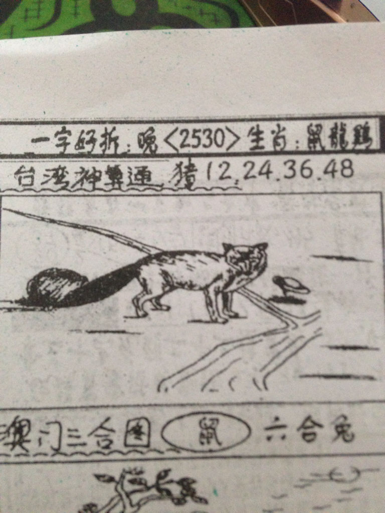揭秘生肖奧秘，看圖猜一生肖劉伯溫的傳奇故事，揭秘生肖奧秘，劉伯溫傳奇故事中的生肖之謎探索