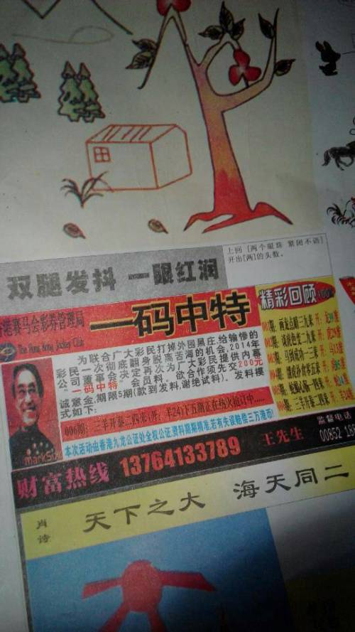 欲錢詩(shī)猜一肖——探尋王中王的奧秘，探尋王中王的奧秘，欲錢詩(shī)猜一肖