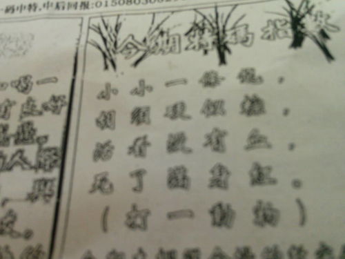 揭秘劉伯溫的一肖一特，探尋神秘傳奇背后的真相，劉伯溫傳奇揭秘，揭秘生肖之謎與獨特特質(zhì)背后的真相