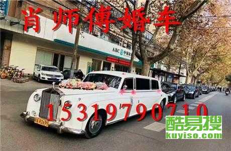 王中王車奪平特一肖免費——深度解析與探索，王中王車奪平特一肖，深度解析與免費探索