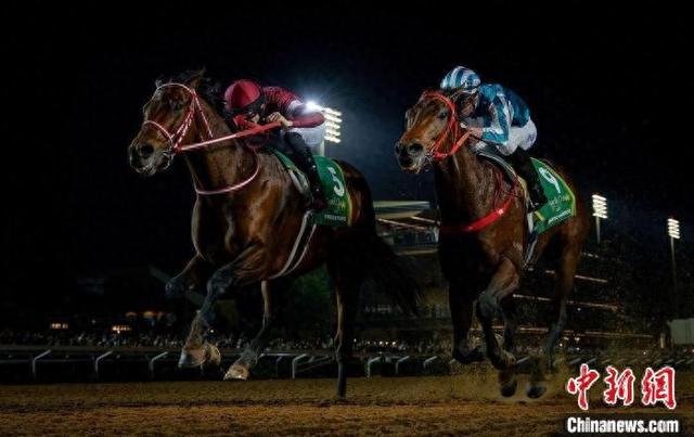 香港王中王一肖中特馬，探索背后的奧秘，香港王中王一肖中特馬背后的奧秘探索