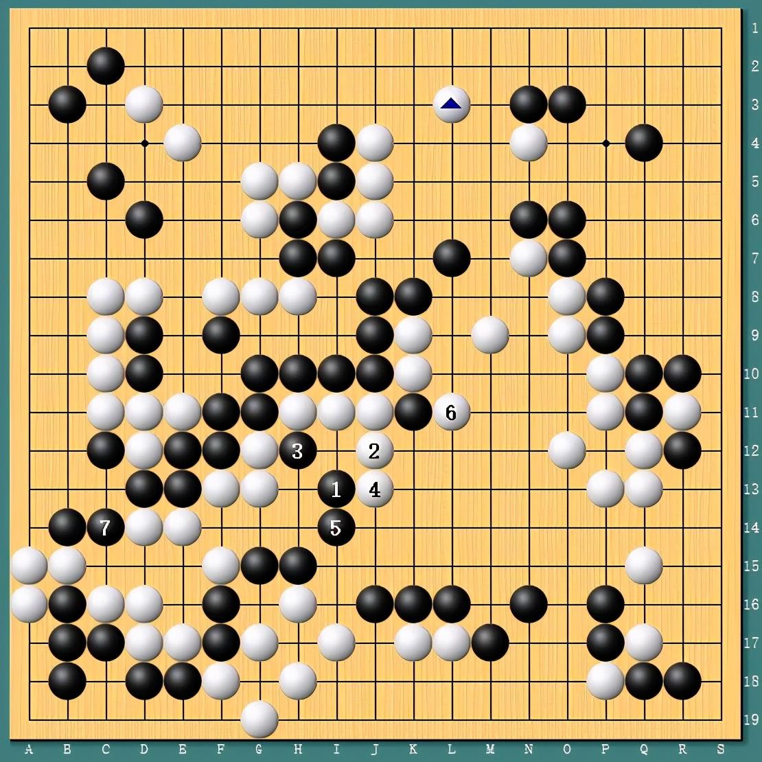 王中王四肖一碼資料論壇，探索與解析，王中王四肖一碼資料論壇，深度探索與解析