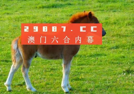 新奧門一肖一馬平特大全，揭秘?zé)衢T關(guān)鍵詞背后的故事，揭秘新澳門熱門關(guān)鍵詞背后的故事，一肖一馬平特大全