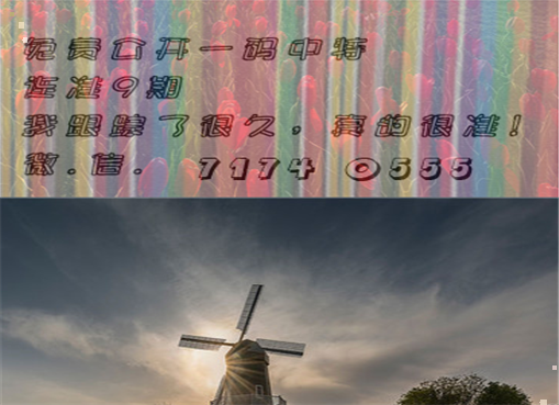 王中王四肖三期必出一期，揭秘彩票背后的秘密策略與技巧，揭秘彩票策略與技巧，王中王四肖三期必出一期之道