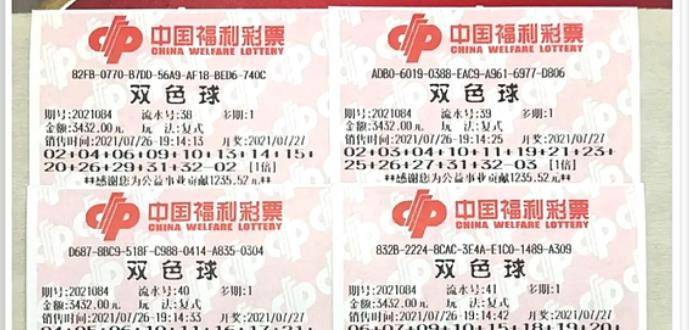 王中王084期指一生肖，解讀背后的秘密與生肖運勢分析，王中王084期生肖揭秘，秘密解讀與運勢展望