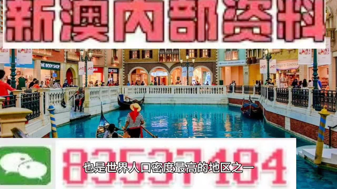 澳門(mén)王中王六碼新澳門(mén)，探索與解析，澳門(mén)王中王六碼新澳門(mén)，深度探索與解析