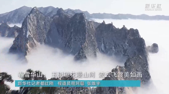 澳門最精準龍門，探索真正的精準之道，澳門最精準龍門，揭秘真正的精準之道