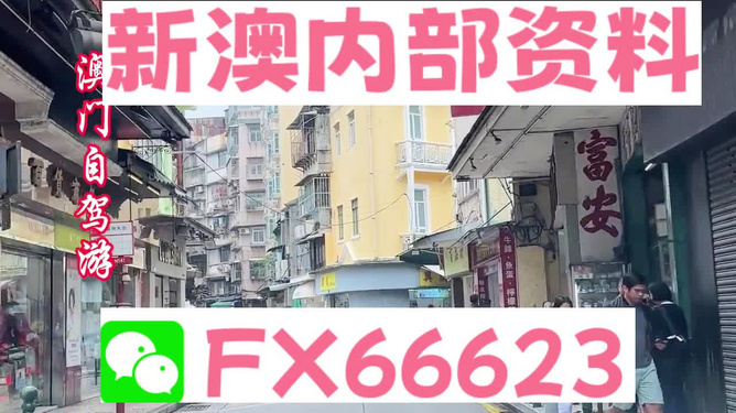新澳精準資料免費提供，探索與利用資源助力成功，新澳精準資料免費分享，助力成功探索與利用資源