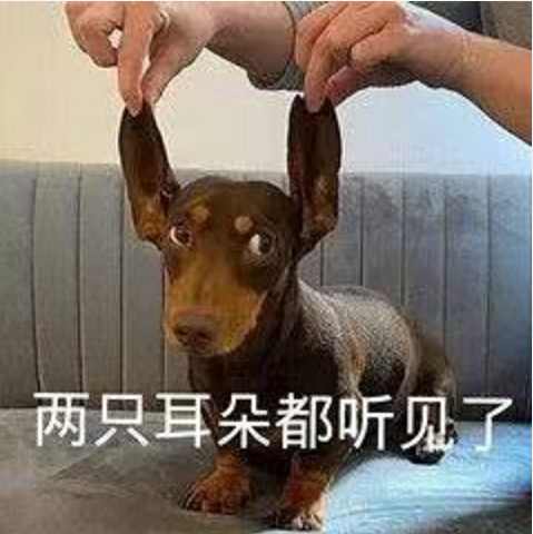 王中王四不象必中一肖，揭秘背后的秘密與策略，揭秘王中王四不象必中一肖背后的秘密與策略之道