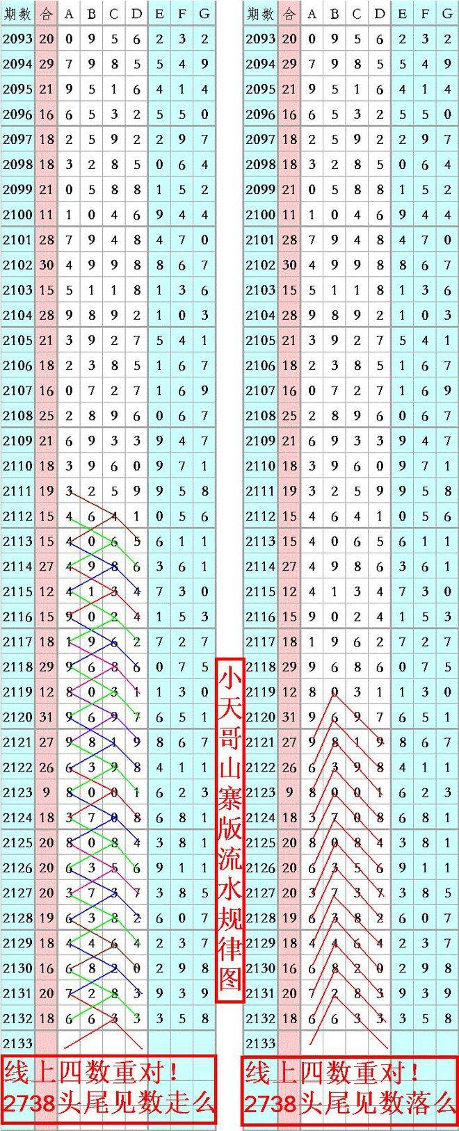 王中王資料一肖正特馬，深度解析與探索，王中王資料一肖正特馬深度解析與探索揭秘