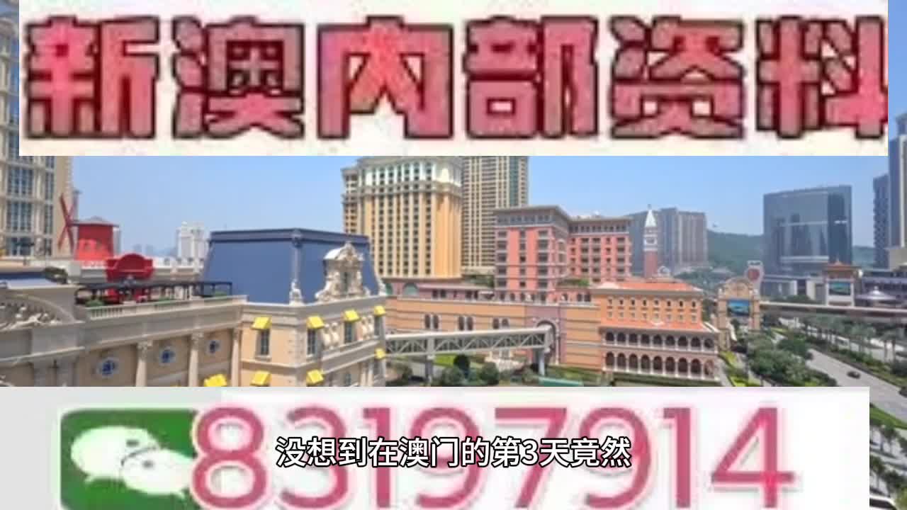 新澳門(mén)今晚必開(kāi)一肖一特，探索生肖與特碼的魅力，澳門(mén)生肖特碼探索，今晚必開(kāi)一肖一特之魅力