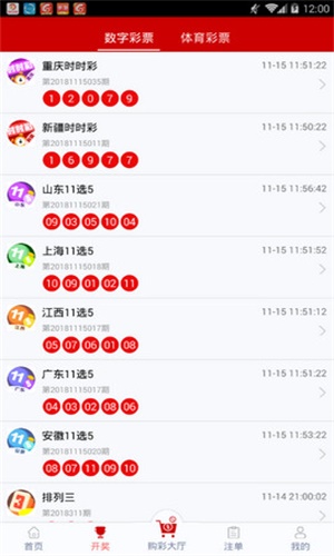 一碼一肖，揭秘背后的秘密與探索其獨特魅力，揭秘一碼一肖背后的秘密與獨特魅力探索