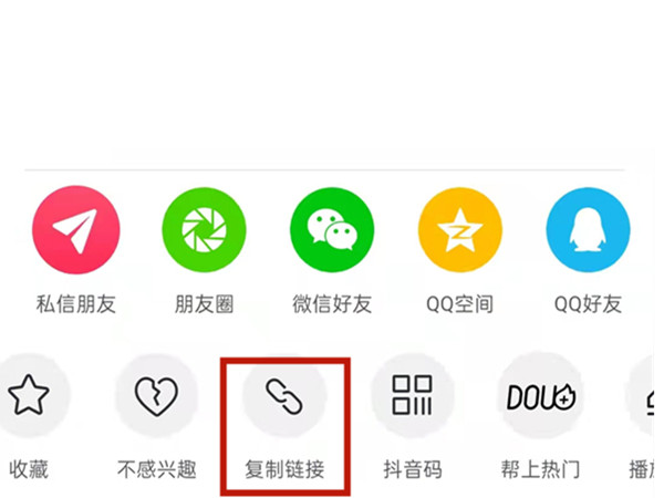 白小姐王中王中特一肖，神秘傳奇與SEO探索，神秘傳奇與SEO探索，白小姐王中王中特一肖的奧秘