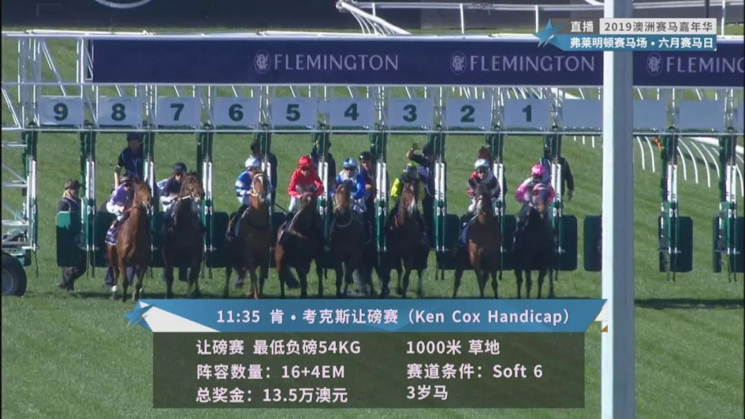 賽馬澳門六月開獎結果，探索與期待，澳門六月賽馬開獎揭曉，探索結果引期待