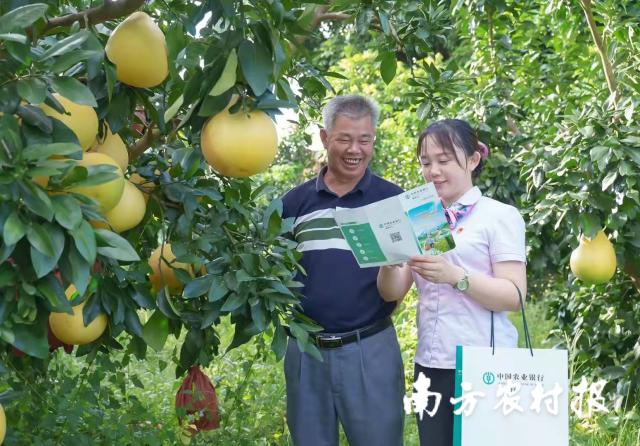 資料大全正版資料2025，一站式獲取所有你需要的信息，資料大全正版資料2025，一站式獲取所有信息總匯