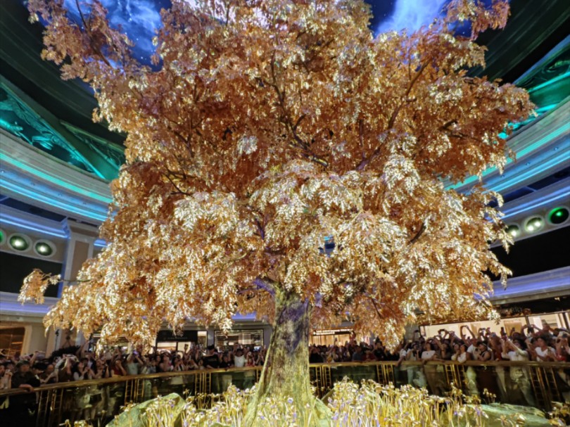 澳門搖錢樹開獎最快——探索彩票世界的神秘魅力，澳門搖錢樹彩票開獎揭秘，探索神秘彩票世界的魅力