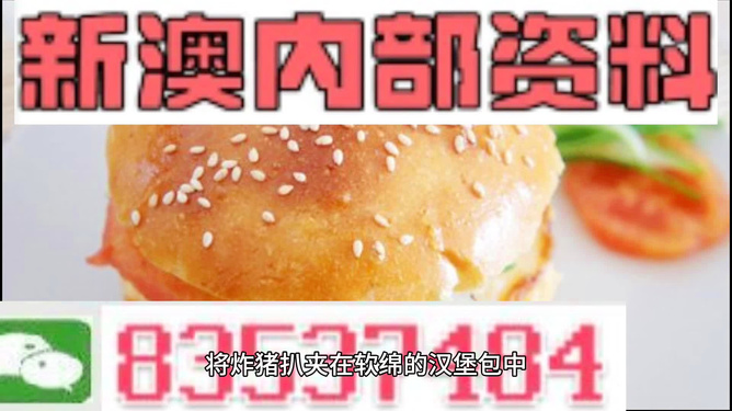 2025新澳正版資料精準(zhǔn)解析，2025新澳正版資料精準(zhǔn)解析手冊(cè)