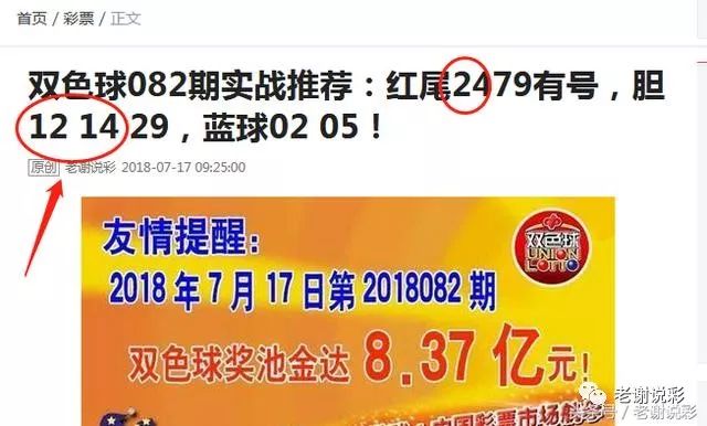 王中王082期指一生肖——探尋生肖魅力，洞悉運勢奧秘，探尋生肖魅力，揭秘運勢奧秘——王中王生肖運勢解析 082期