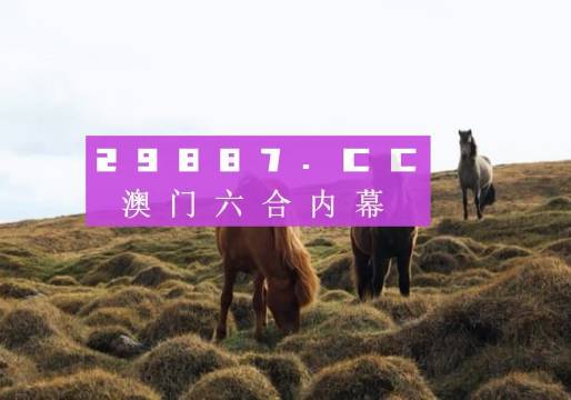 澳門六開獎(jiǎng)結(jié)果2023開獎(jiǎng)記錄查詢網(wǎng)站——全面解析與最新資訊，澳門六開獎(jiǎng)結(jié)果最新解析與資訊，全面查詢2023年開獎(jiǎng)記錄