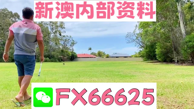 王中王一碼二肖，揭秘背后的秘密，揭秘王中王一碼二肖背后的秘密