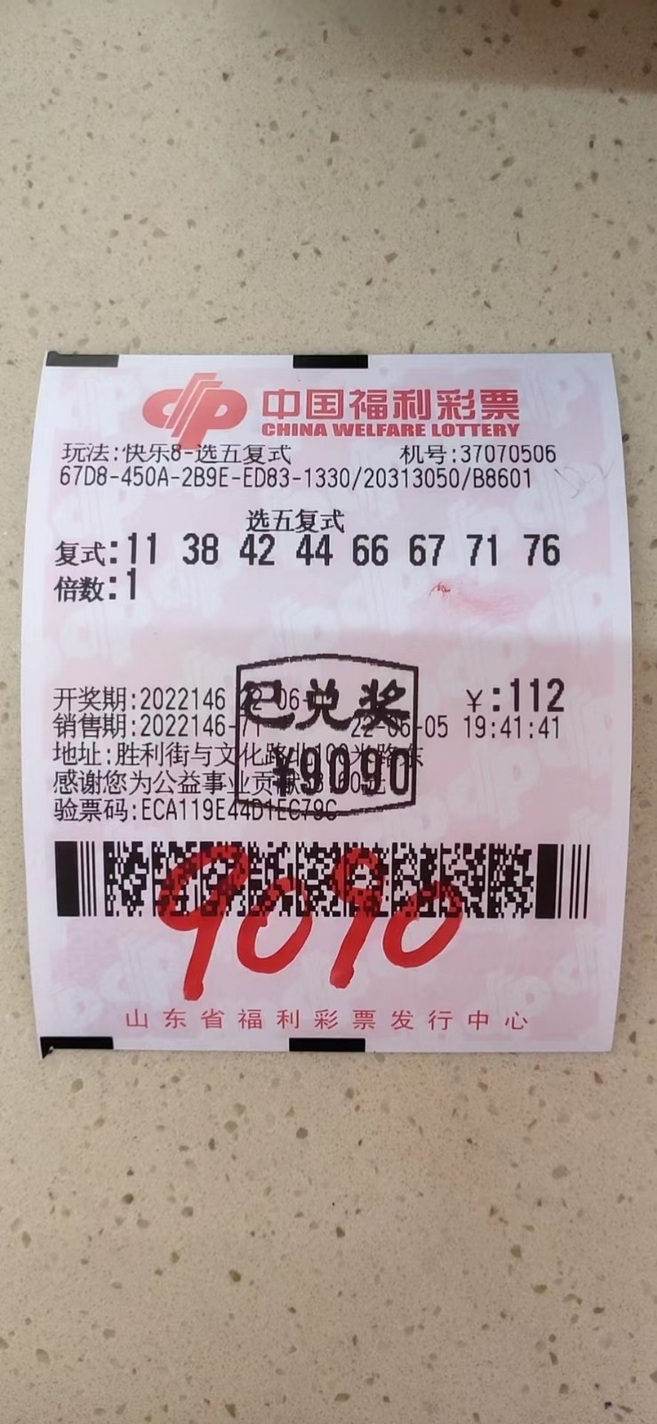 揭秘002期王中王平特一肖，背后的故事與奧秘，揭秘王中王平特一肖背后的故事與奧秘（第002期）