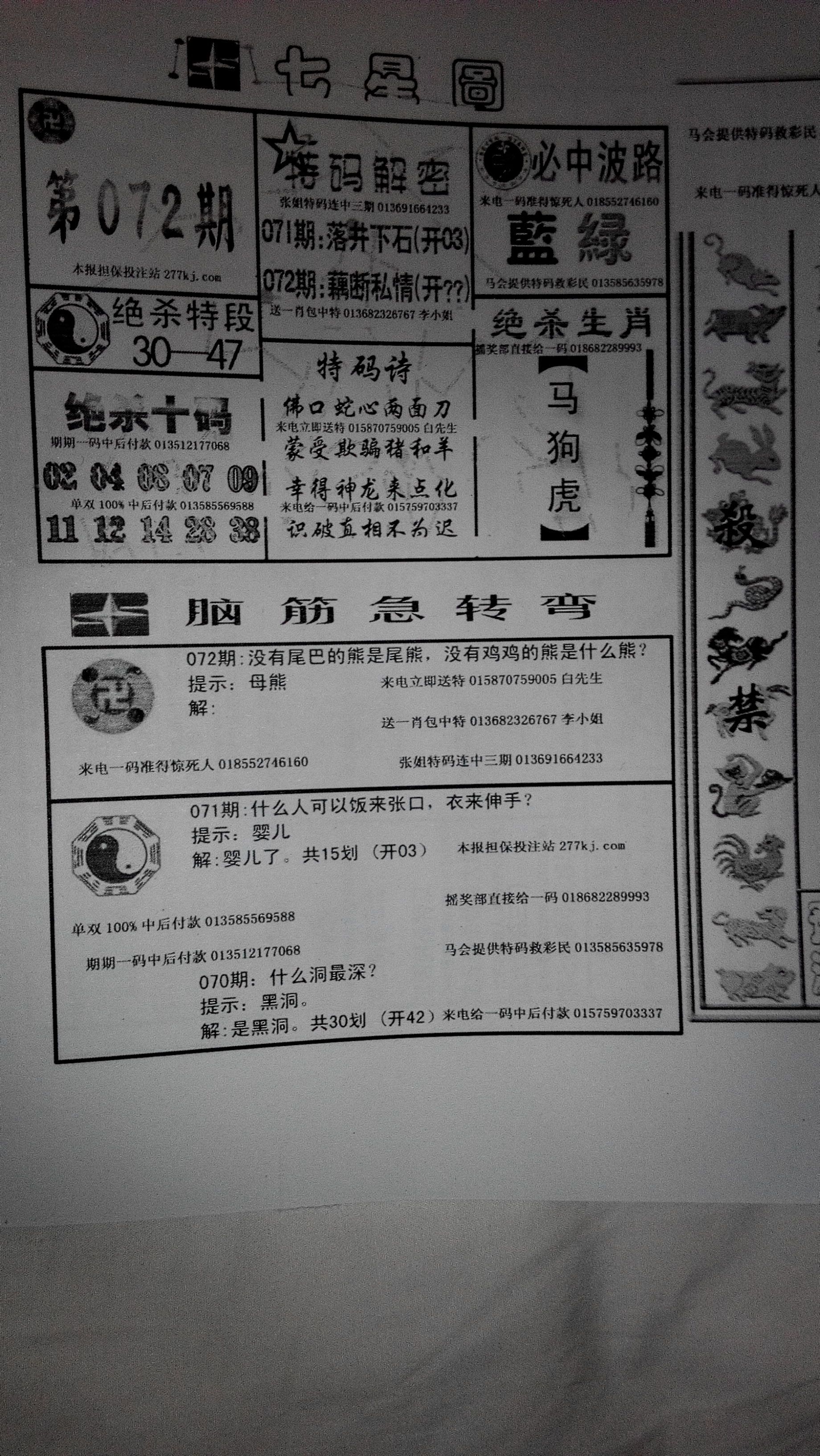 王中王211期指一生肖，深度解析與預(yù)測(cè)，王中王211期生肖深度解析與預(yù)測(cè)，揭秘未來(lái)走向