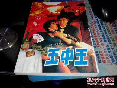 王中王資料一肖中特小說，深度解析與探索，王中王資料一肖中特小說的深度解析與探索之旅