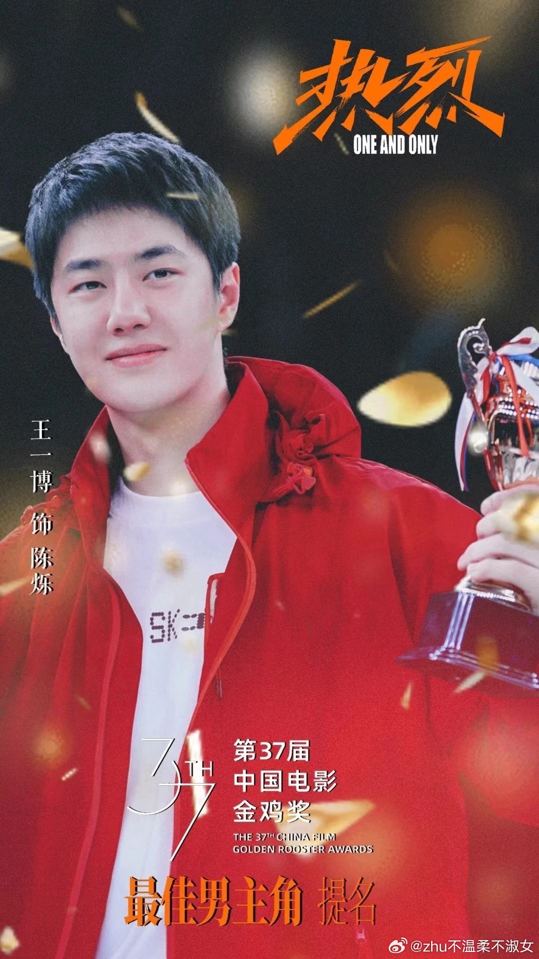 王中王一肖一特一中一中，探尋背后的故事與奧秘，探尋王中王一肖背后的故事與奧秘