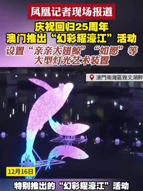 新澳門六開獎結果查詢濠江論壇——快速獲取開獎信息的首選平臺，澳門六開獎結果查詢首選平臺，濠江論壇快速更新開獎信息