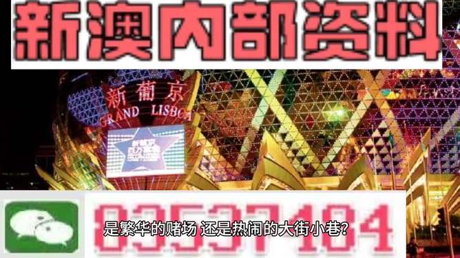 新澳門精準(zhǔn)資料大全管家婆料，探索與解析，澳門精準(zhǔn)資料大全解析，探索管家婆料內(nèi)幕