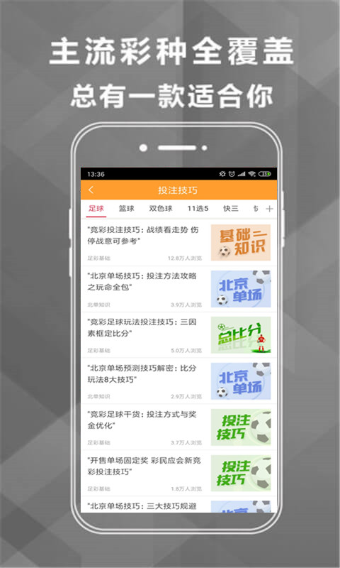 王中王493333中特馬網(wǎng)站——探索彩票樂趣的首選平臺，王中王493333中特馬網(wǎng)站，彩票樂趣的首選探索平臺