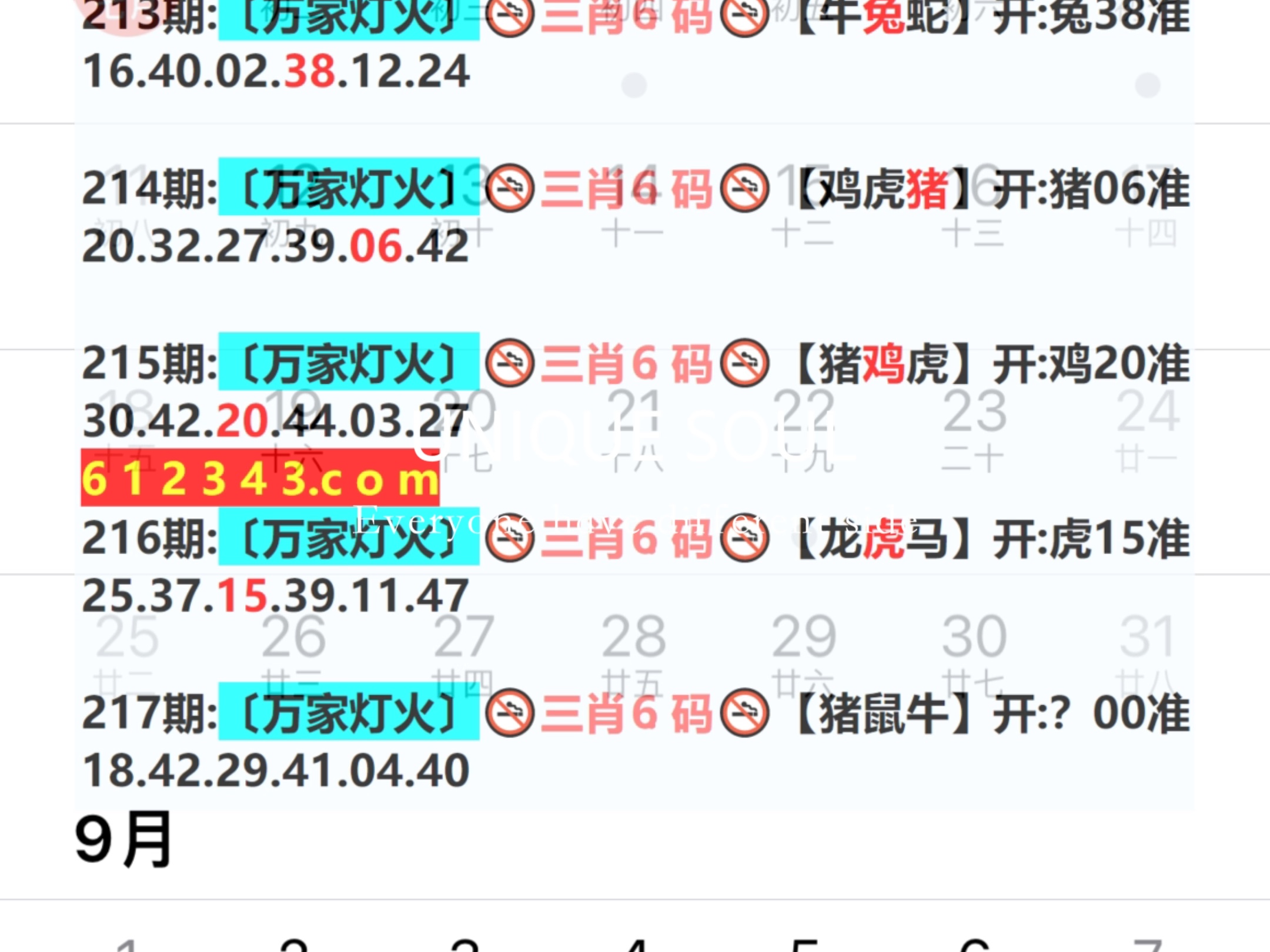 新奧今日六肖中特，揭秘背后的秘密與趨勢分析，揭秘新奧今日六肖中特背后的秘密與趨勢分析