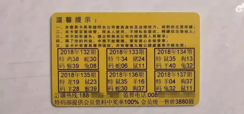 香港中特期期準(zhǔn)資料，深度解析與探索，香港中特期期準(zhǔn)資料深度解析與探索報(bào)告